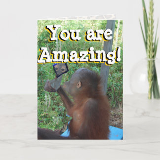 Carte Joyeux Anniversaire Sauvage