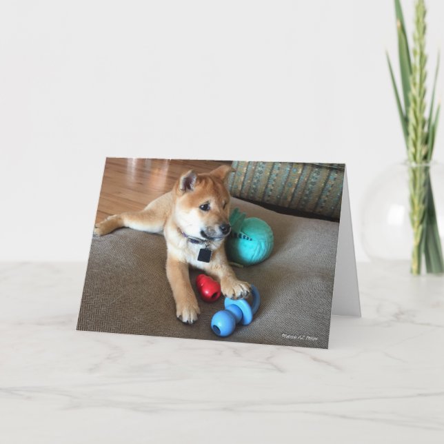 Carte Joyeux anniversaire Shiba Inu Chiot Jouets colorés (Devant)