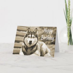Carte Joyeux anniversaire Sibérie Husky Puppy Dog