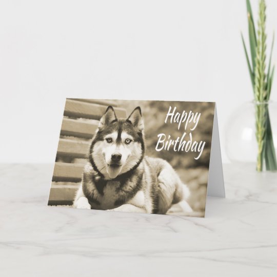 Carte Joyeux Anniversaire Siberie Husky Puppy Dog Zazzle Fr