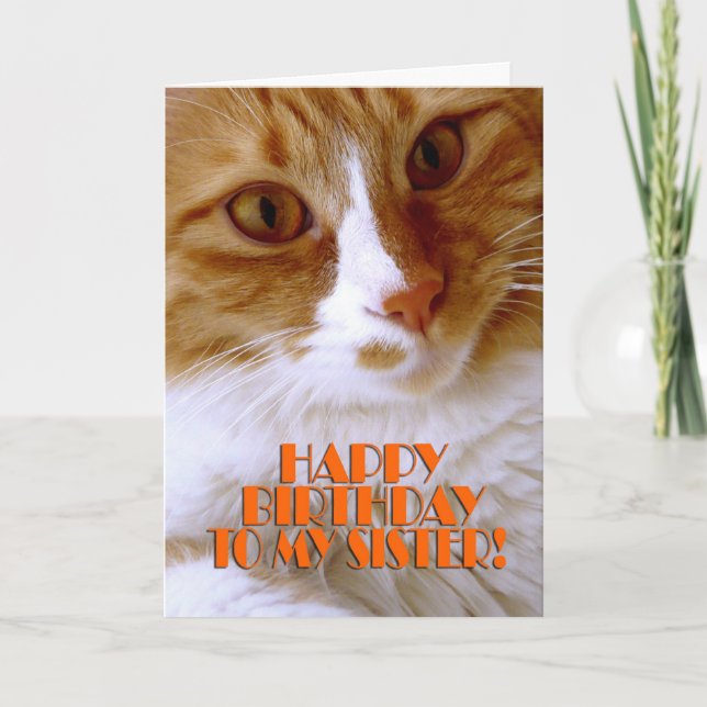 Carte Joyeux Anniversaire Sœur - Chat Mignon (Devant)