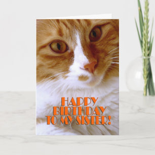Carte Joyeux Anniversaire Sœur - Chat Mignon