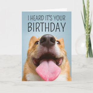 Carte Joyeux Anniversaire   Sourire Corgi