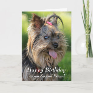Carte Joyeux Anniversaire Spécial Ami Fun Yorkie Chien
