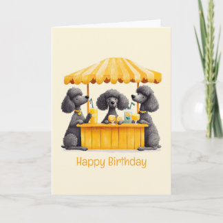 Carte Joyeux Anniversaire Standard Poodle Chiens Lemonad