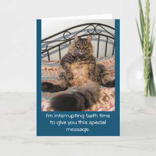 Carte Joyeux Anniversaire Temps de bain Kimber Chat