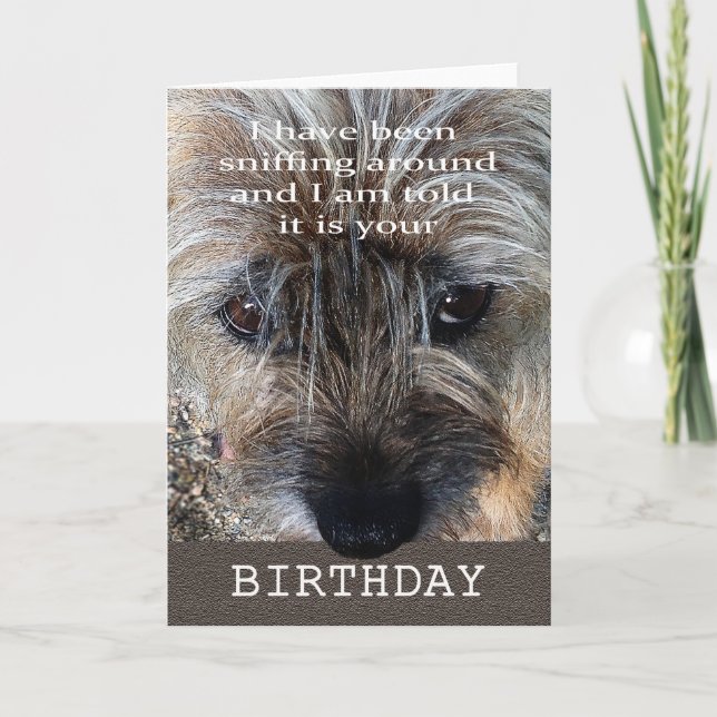 Carte Joyeux anniversaire, terrier de frontière (Devant)