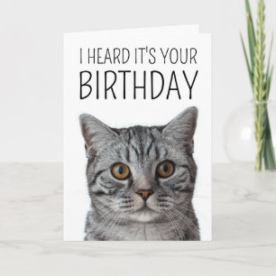 Carte Joyeux Anniversaire   Tête de chat British Shortha