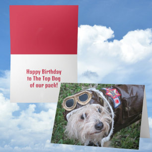 Carte Joyeux Anniversaire Top Chien de notre pack mignon