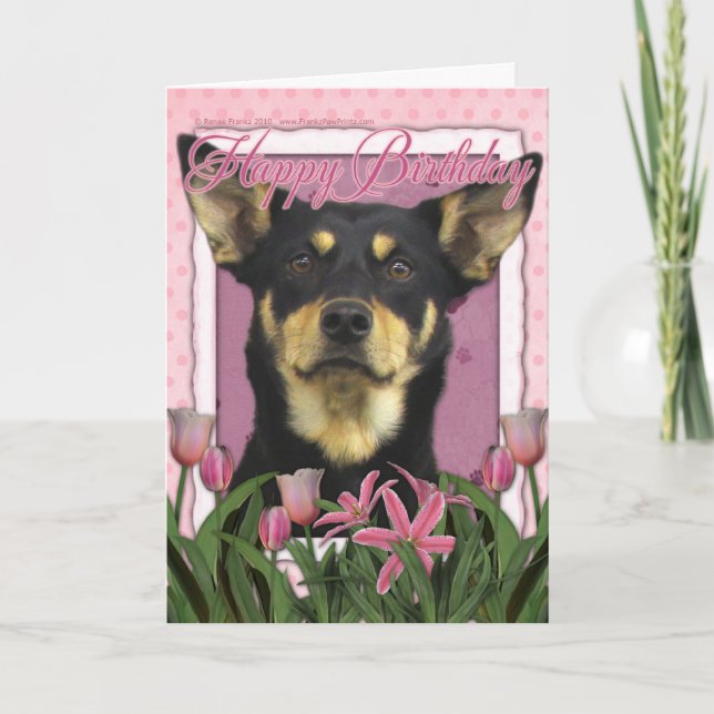Carte Joyeux anniversaire - Tulipes roses - Kelpie austr (Devant)