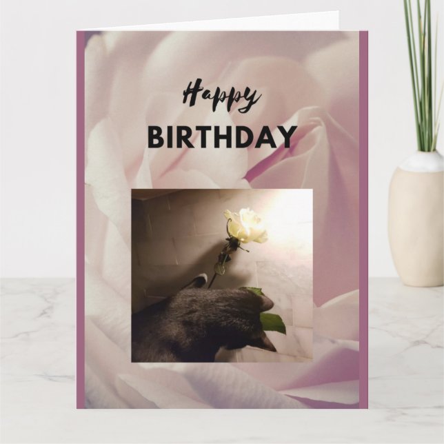 Carte Joyeux anniversaire. Tuxedo chat avec un rose. Car (Devant)