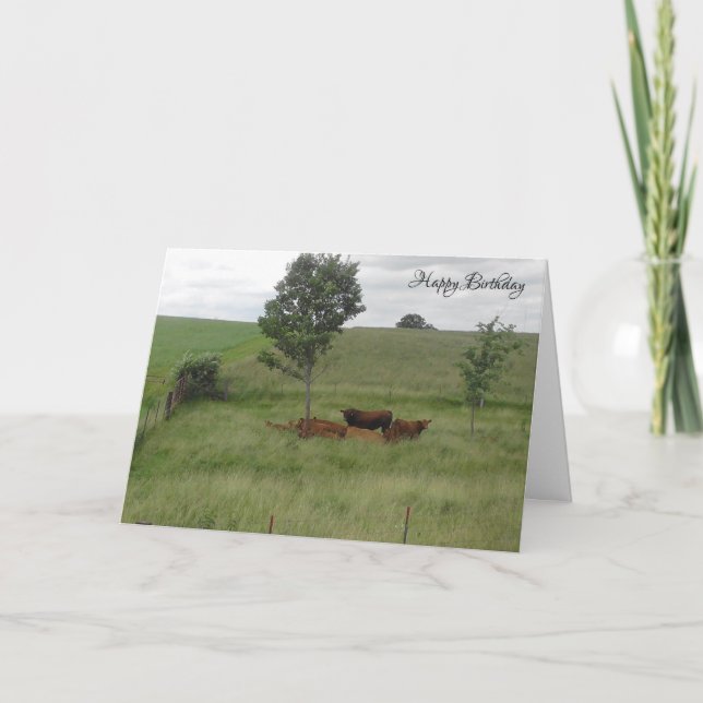Carte Joyeux Anniversaire Vaches Paisibles dans un (Devant)