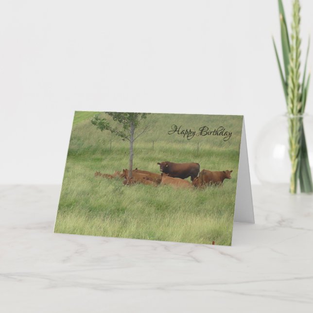 Carte Joyeux Anniversaire Vaches Paisibles dans un (Devant)