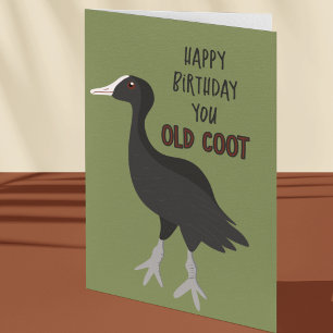 Carte Joyeux Anniversaire Vieil Oiseau De Mauvais Augure
