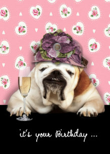 Gratuit Images Cartes De Vœux Bouledogue Humoristique Zazzle Fr dernière salutations