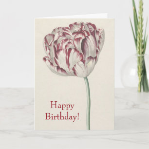 Carte Joyeux anniversaire - Vintage Tulipe rouge et blan