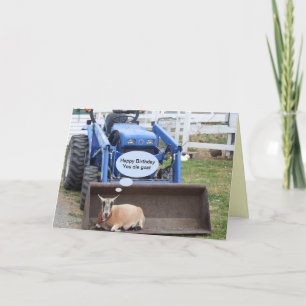 Carte Joyeux Anniversaire Vous Vieux Chèvre C'est votre