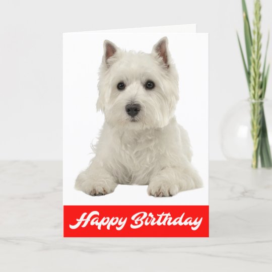 White terrier chien drôle Personnalisé Anniversaire Carte de vœux 
