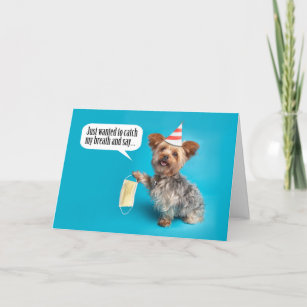 Cartes Terrier Yorkshire D Anniversaire Zazzle Fr