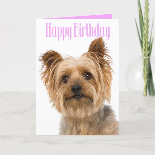 Carte Joyeux Anniversaire Yorkshire Terrier Chien Chien Zazzle Fr