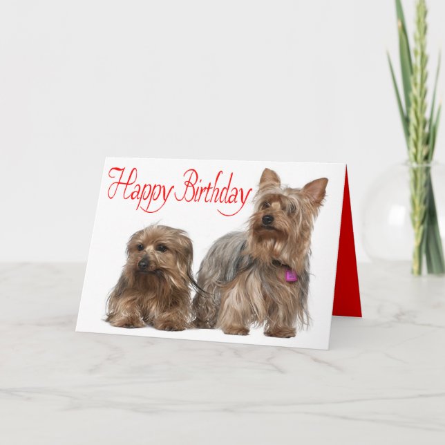 Carte Joyeux anniversaire Yorkshire Terrier Chien Chien  (Devant)
