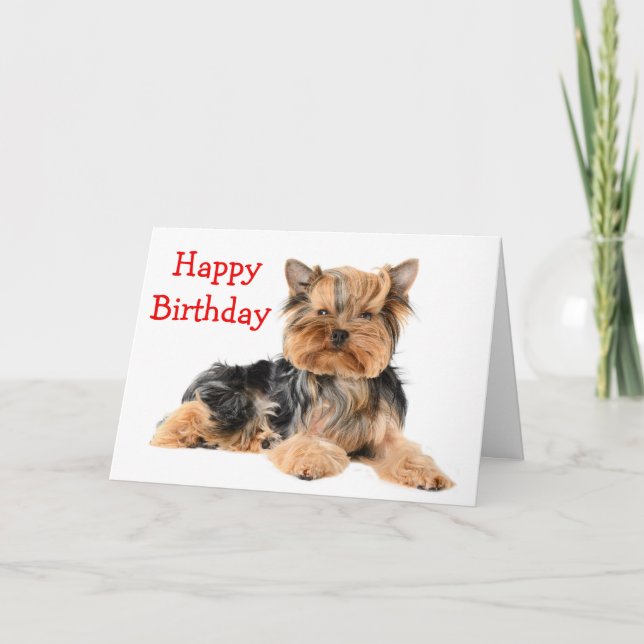 Carte Joyeux anniversaire Yorkshire Terrier Chien Chien  (Devant)