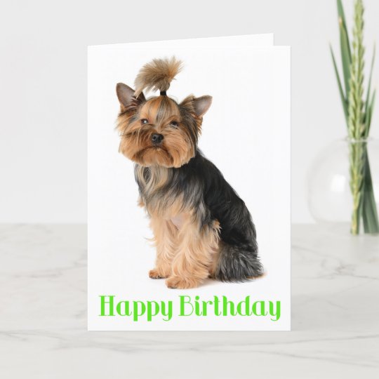 Carte Joyeux Anniversaire Yorkshire Terrier Chien Coquel Zazzle Fr