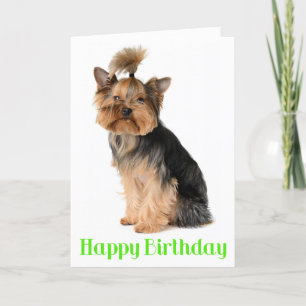 Carte Joyeux anniversaire Yorkshire Terrier Chien coquel