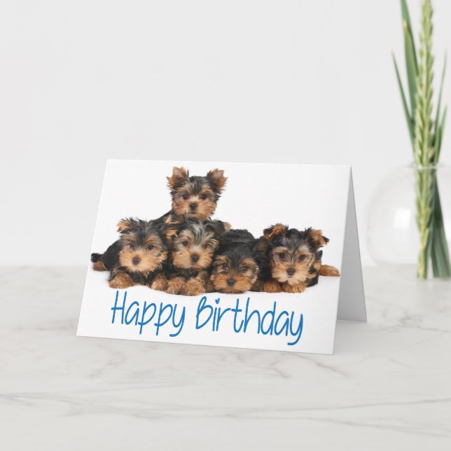 Carte Joyeux Anniversaire Yorkshire Terrier Chiot Bleu (Devant)