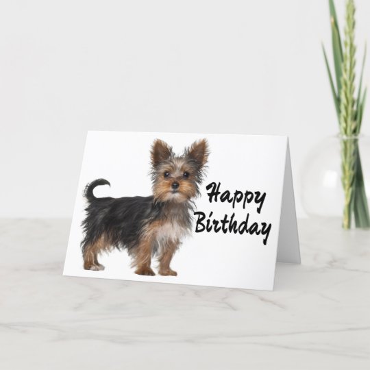 Carte Joyeux Anniversaire Yorkshire Terrier Puppy Dog Zazzle Fr