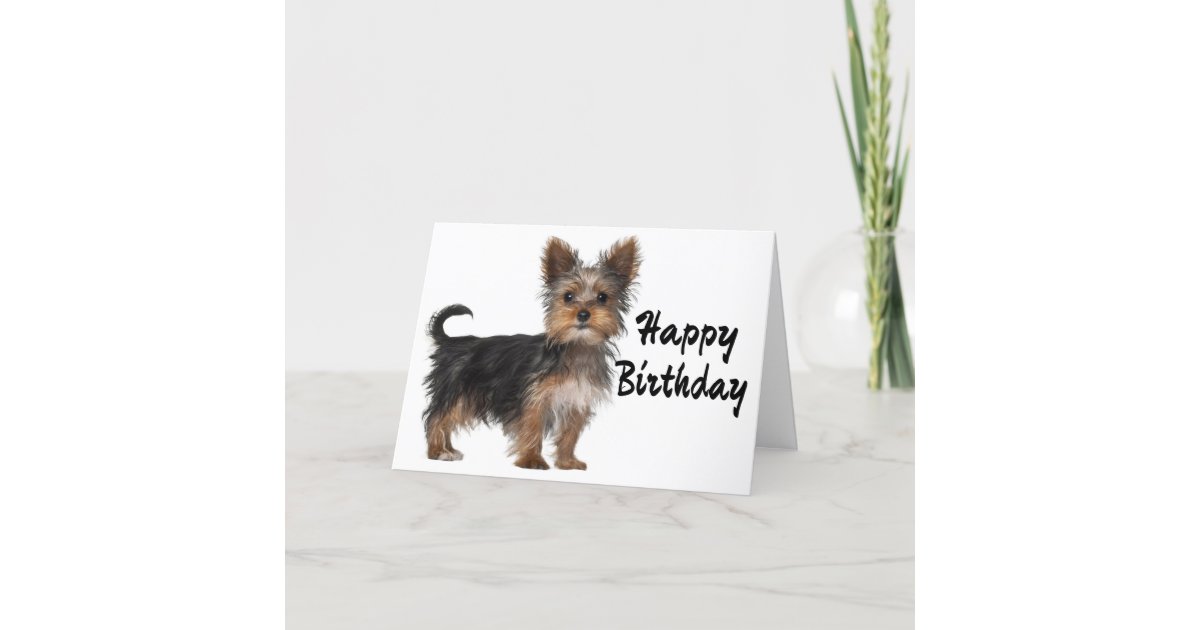 Carte Joyeux Anniversaire Yorkshire Terrier Puppy Dog Zazzle Fr