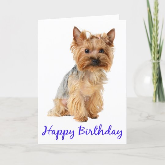 Carte Joyeux Anniversaire Yorkshire Terrier Puppy Dog Ca Zazzle Fr