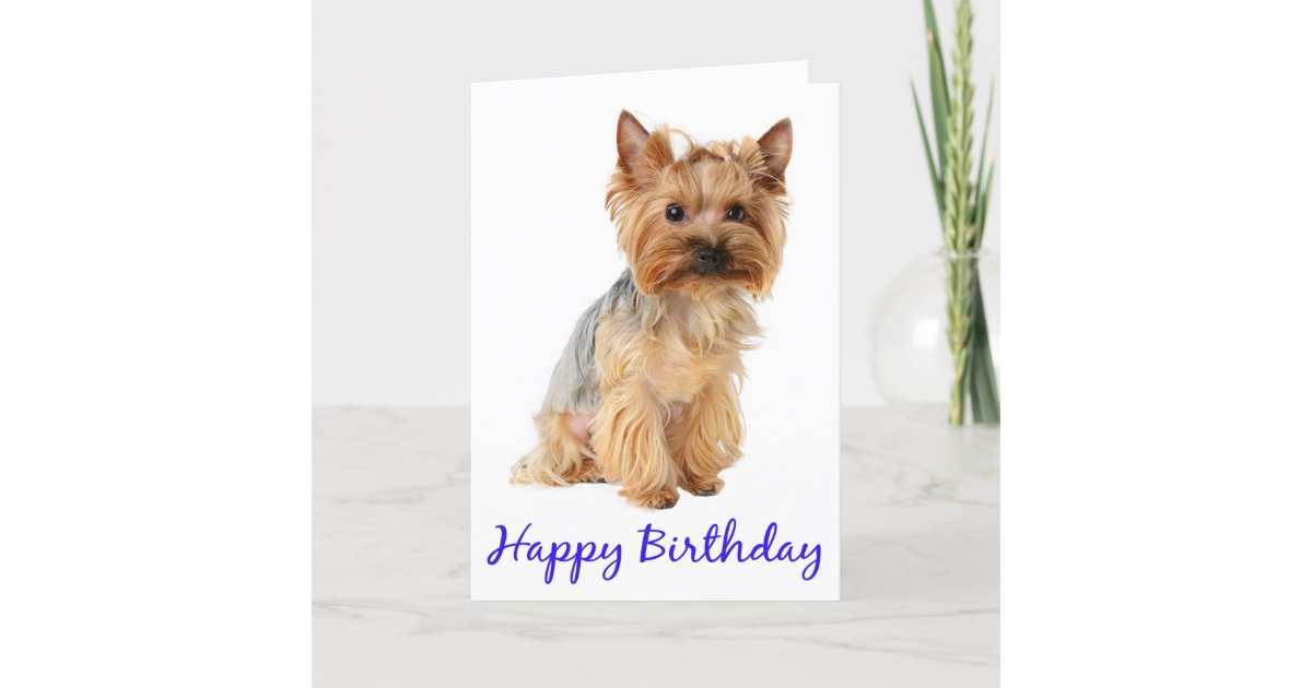 Carte Joyeux Anniversaire Yorkshire Terrier Puppy Dog Ca Zazzle Fr