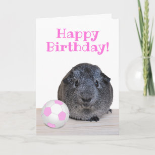 Cartes Cobaye D Anniversaire Zazzle Fr