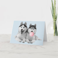 Joyeux Bubble Gum de Chiots Sibériens Mignons