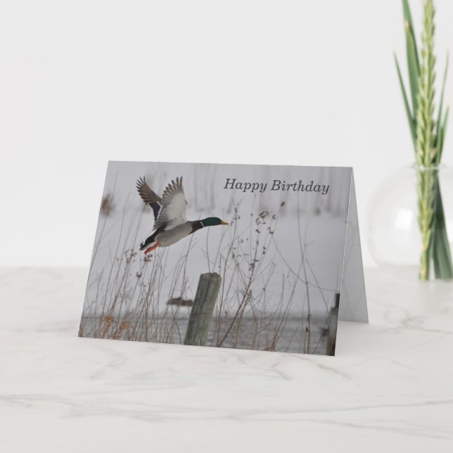 Carte Joyeux Canard de Mallard (Devant)