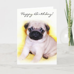  Cartes  Carlin  d anniversaire  Zazzle fr