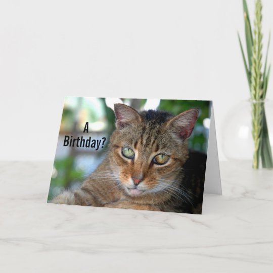 Carte Joyeux Chat D Anniversaire Zazzle Fr