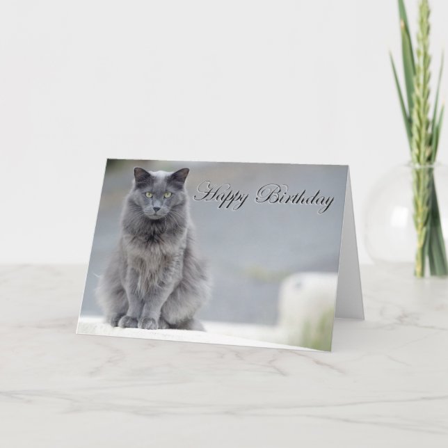 Carte Joyeux Chat gris d'anniversaire (Devant)