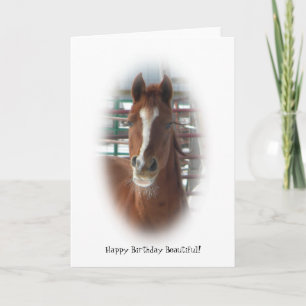 Carte Joyeux Cheval d'Anniversaire