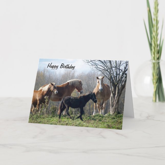 Carte Joyeux Chevaux d'anniversaire (Devant)