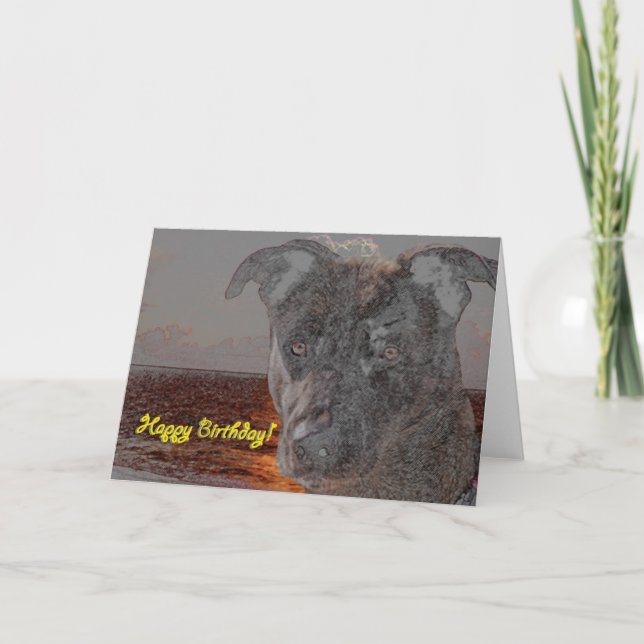 Carte Joyeux chien d'anniversaire (Devant)