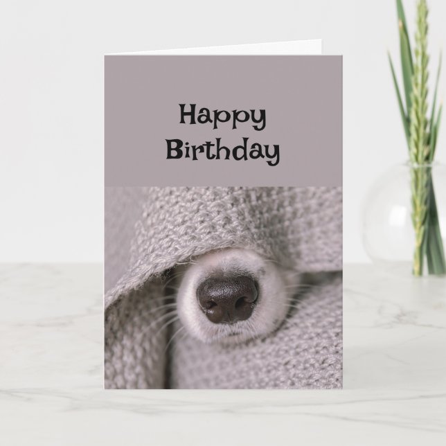 Carte Joyeux chien d'anniversaire sous couverture dans l (Devant)