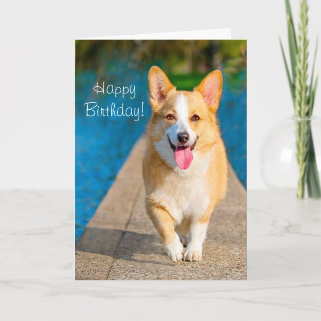 Carte Joyeux Chien de Corgi Anniversaire (Devant)