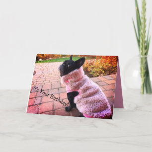 Carte Joyeux Chien de taureau français