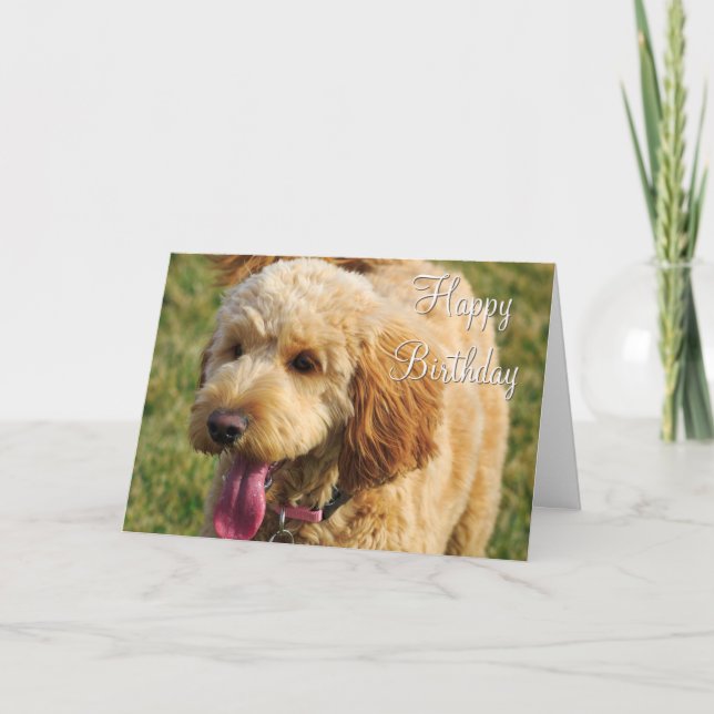 Carte Joyeux chien doré d'anniversaire (Devant)