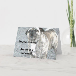 Carte Joyeux Chien taureau d'anniversaire
