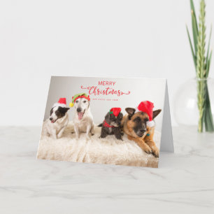 Carte Joyeux Chiens de Noël à Santa Hats