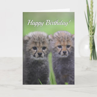 Carte Joyeux Cute Cheetah Sibling Cubs