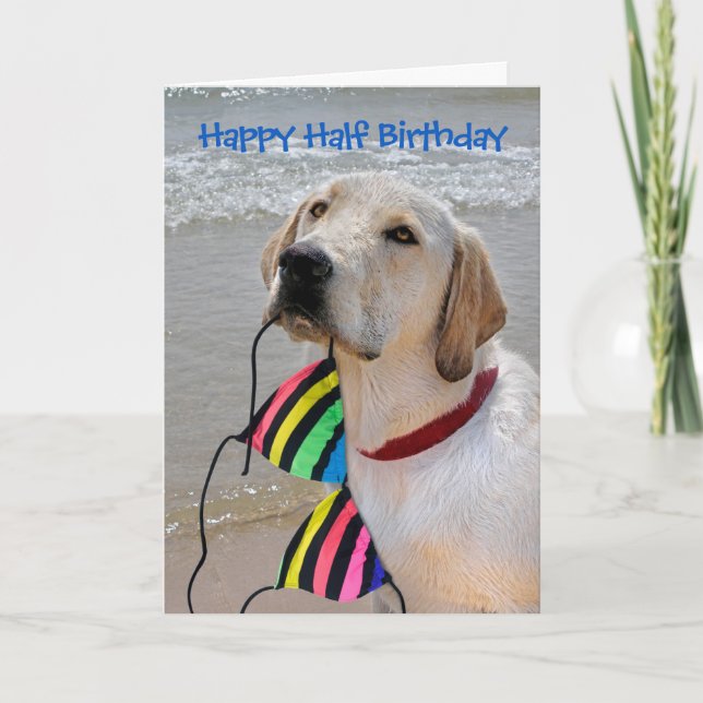 Carte Joyeux demi-anniversaire Labrador Retriever (Devant)